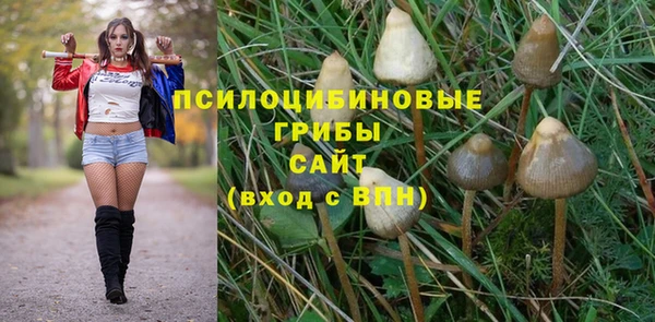 гидра Беломорск